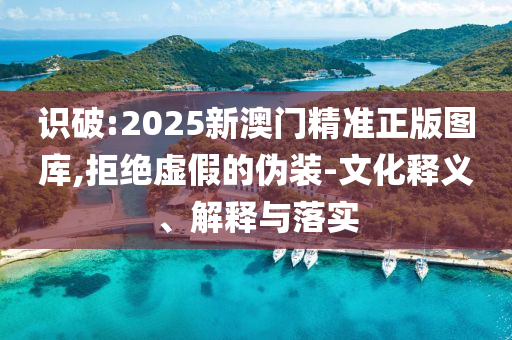 识破:2025新澳门精准正版图库,拒绝虚假的伪装-文化释义、解释与落实