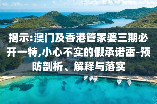 揭示:澳门及香港管家婆三期必开一特,小心不实的假承诺雷-预防剖析、解释与落实